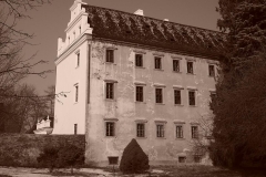 radim6